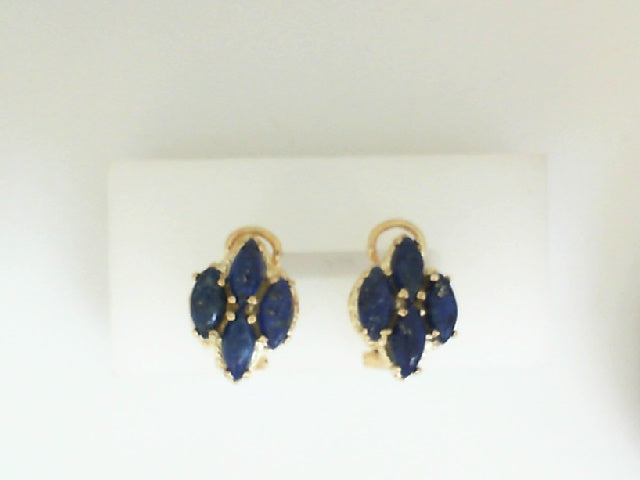 Colored Stone Earring