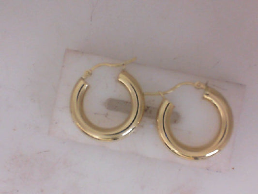 Gold Earring
