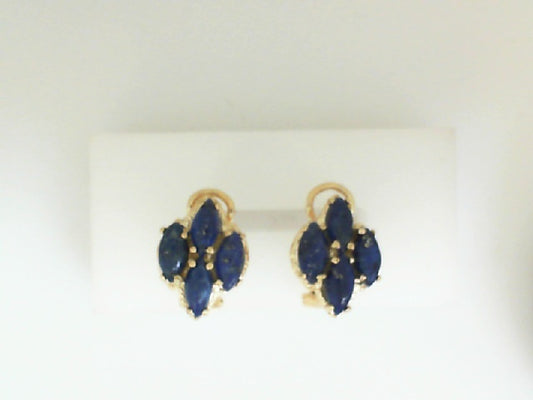 Colored Stone Earring