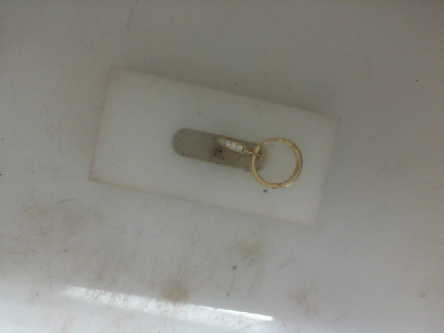 Gold Earring