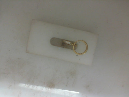 Gold Earring