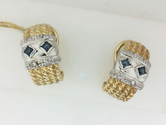 Colored Stone Earring