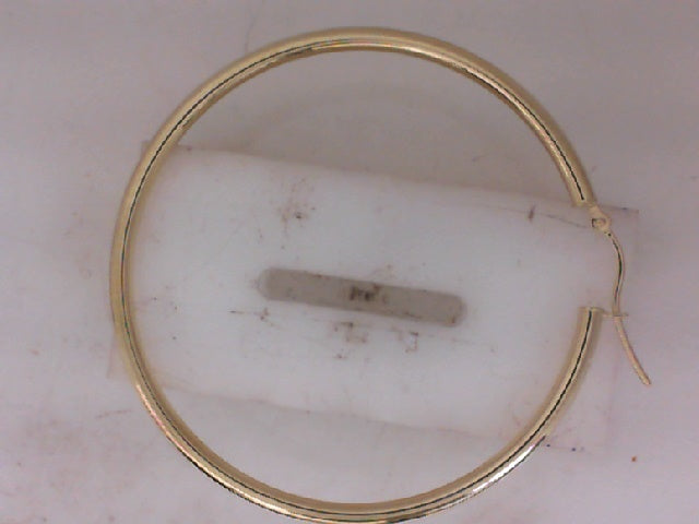 Gold Earring
