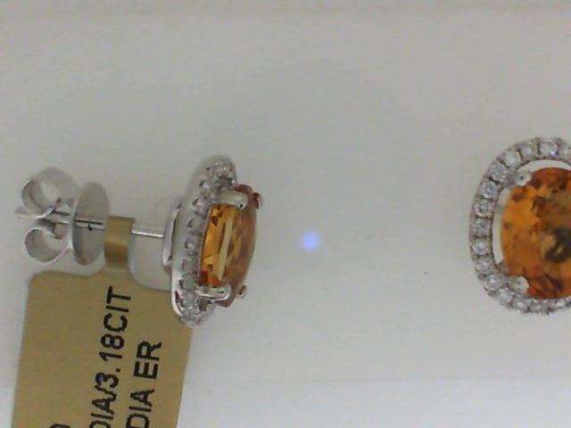 Colored Stone Earring